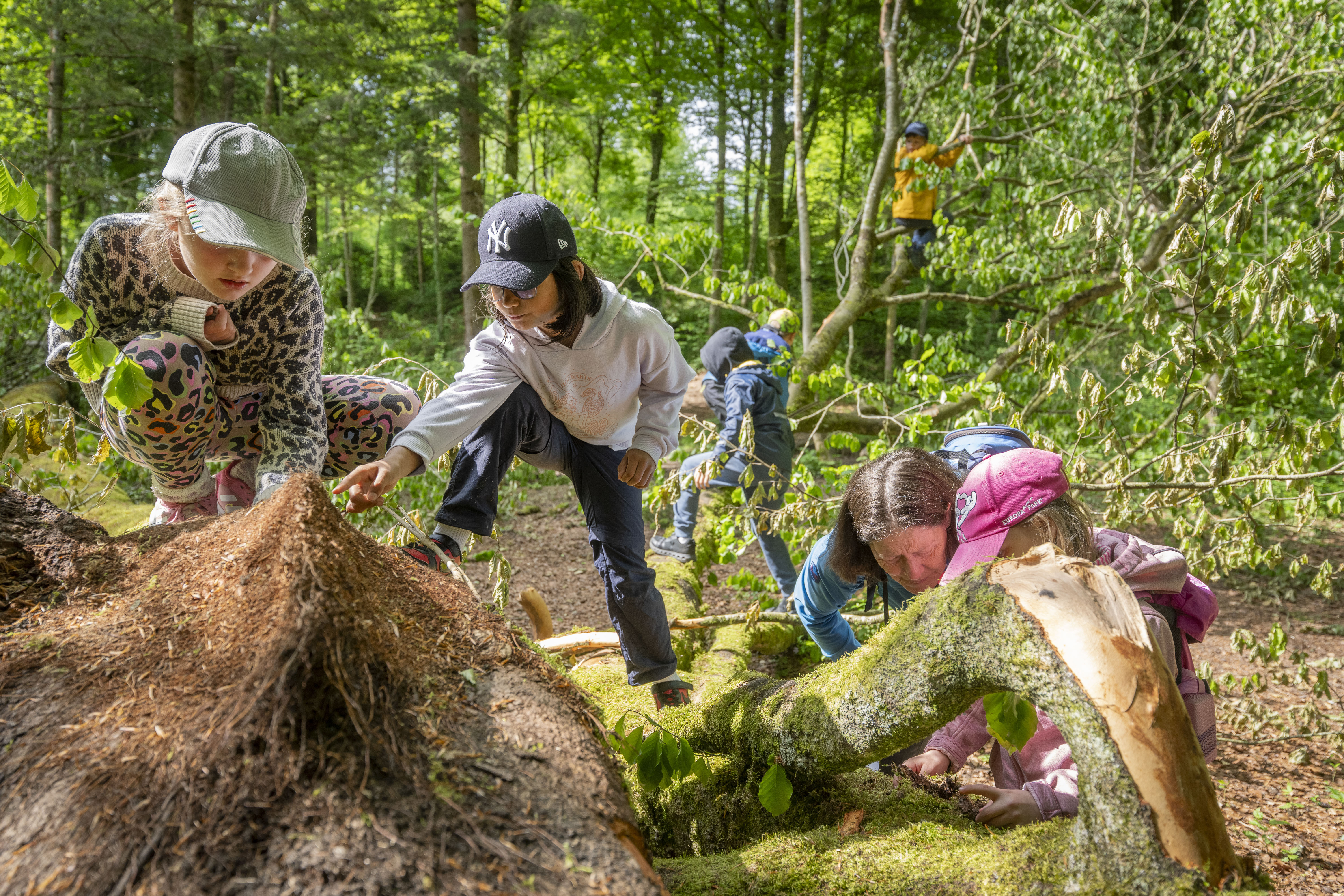 12.05.2025,RUETI: Waldtag organisiert und durchgeführt von der fit4future foundation, fotografiert am Montag, den 12. Mai 2025 in Rüti ZH © Urs Bucher/ ubupix